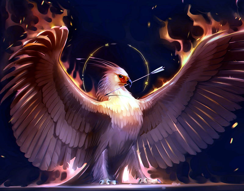 Arcanahawks — source illustration