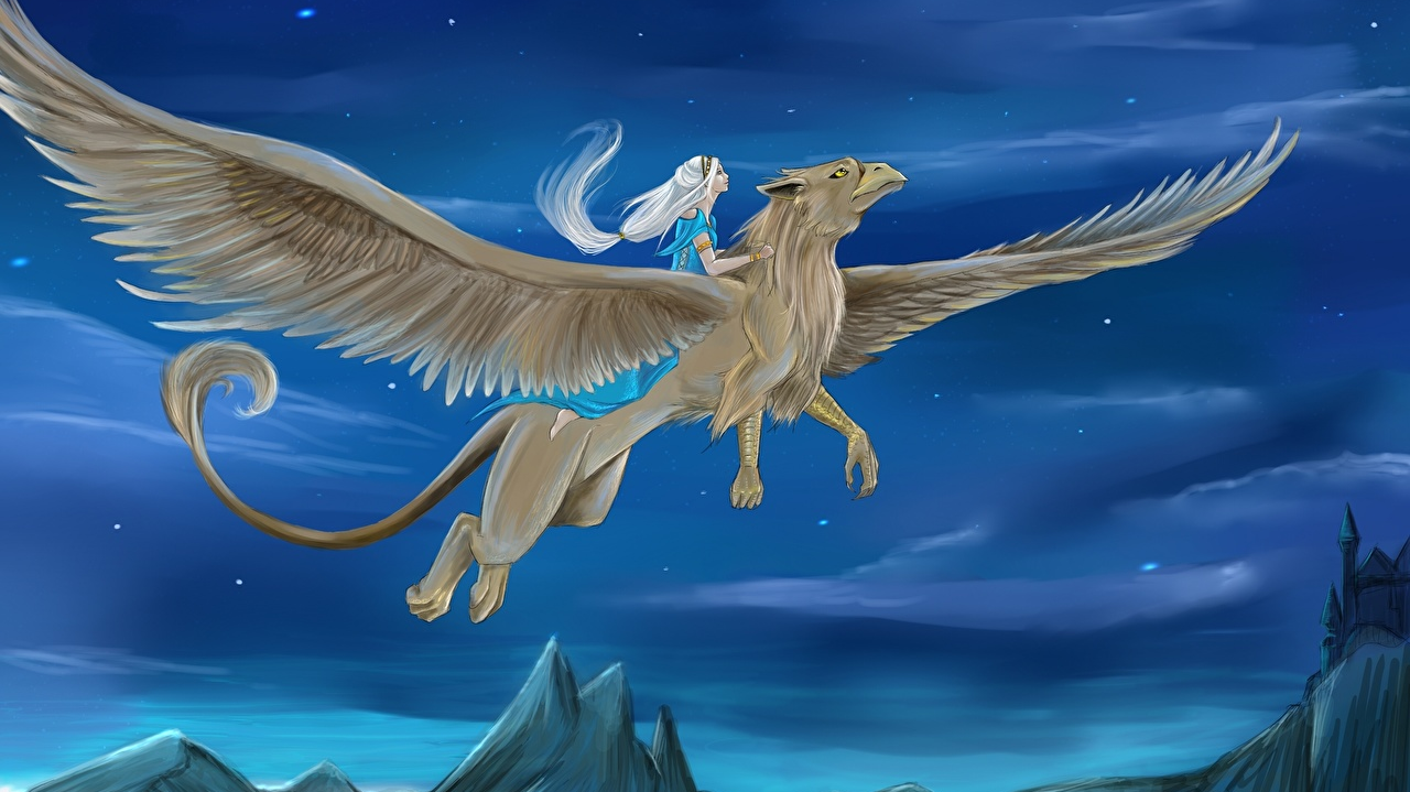Arcanahawks — source illustration