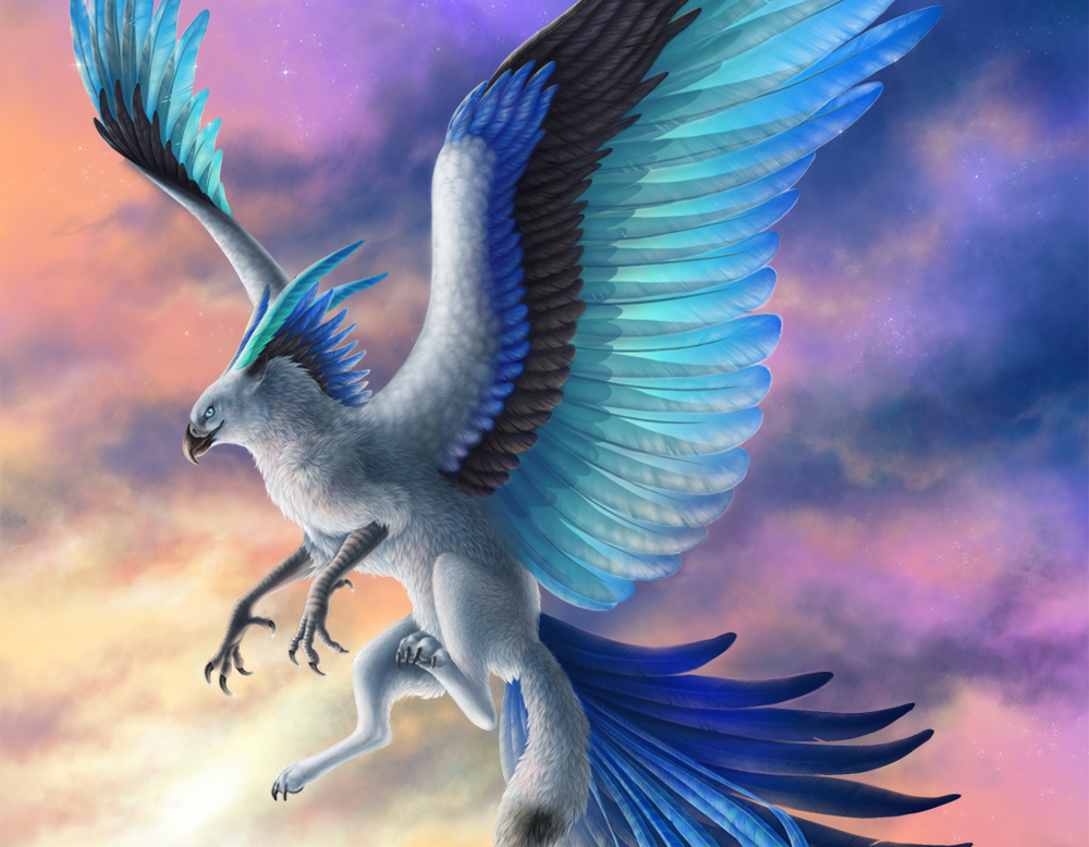 Arcanahawks — source illustration