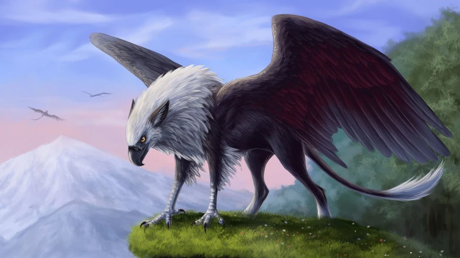 Arcanahawks — source illustration